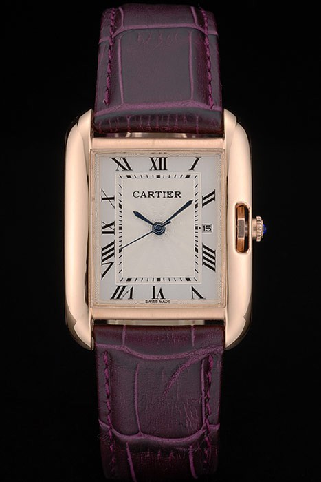 Cartier Luxury Watch 80206