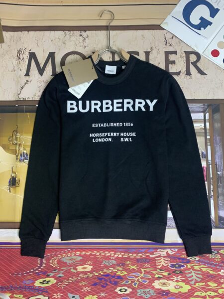 Replica Burberry 35160 Fashion Hoodies 2