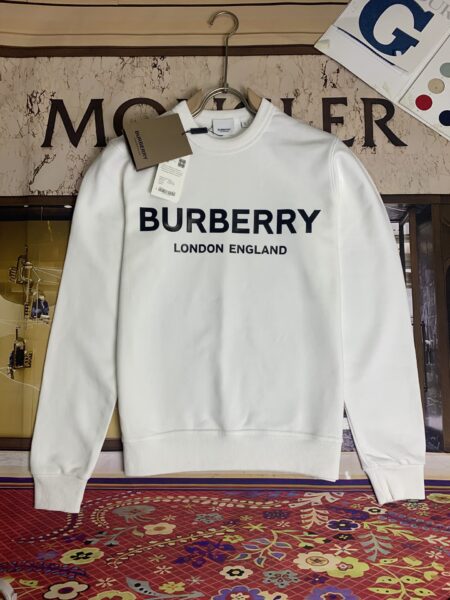 Replica Burberry 34037 Fashion Hoodies 2