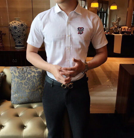 Replica Burberry 4733 Men Fashion Shirt 2 Replica Burberry 4733 Men Fashion Shirt 2